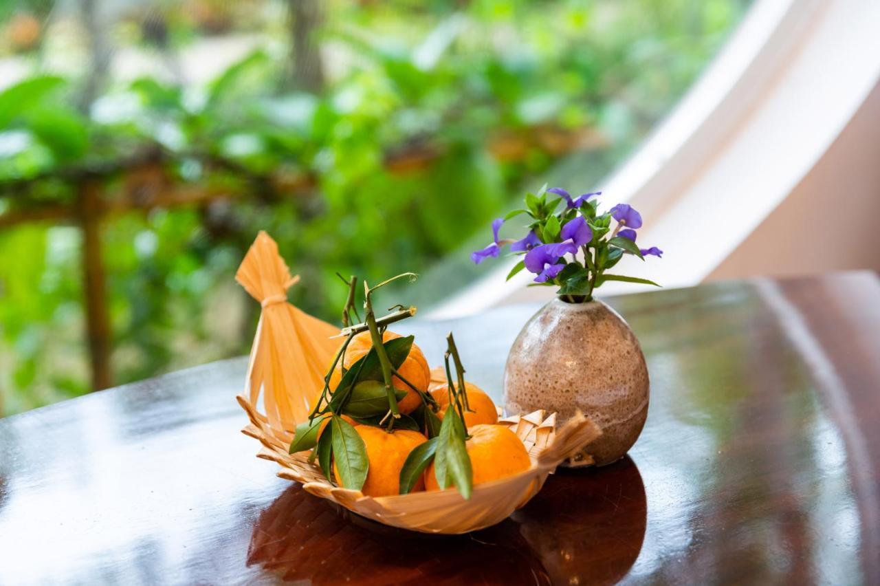 Binh Minh Eco Lodge Cần Thơ Ngoại thất bức ảnh